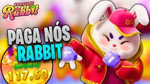 habibi rabbits